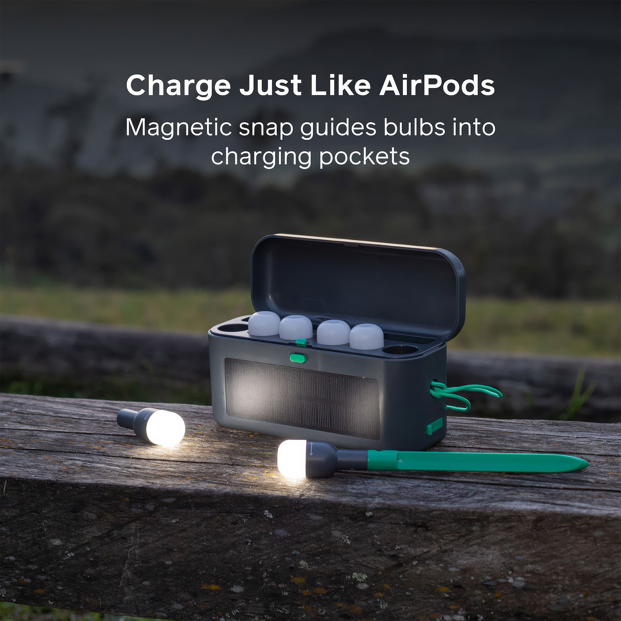 Solar Site Lights