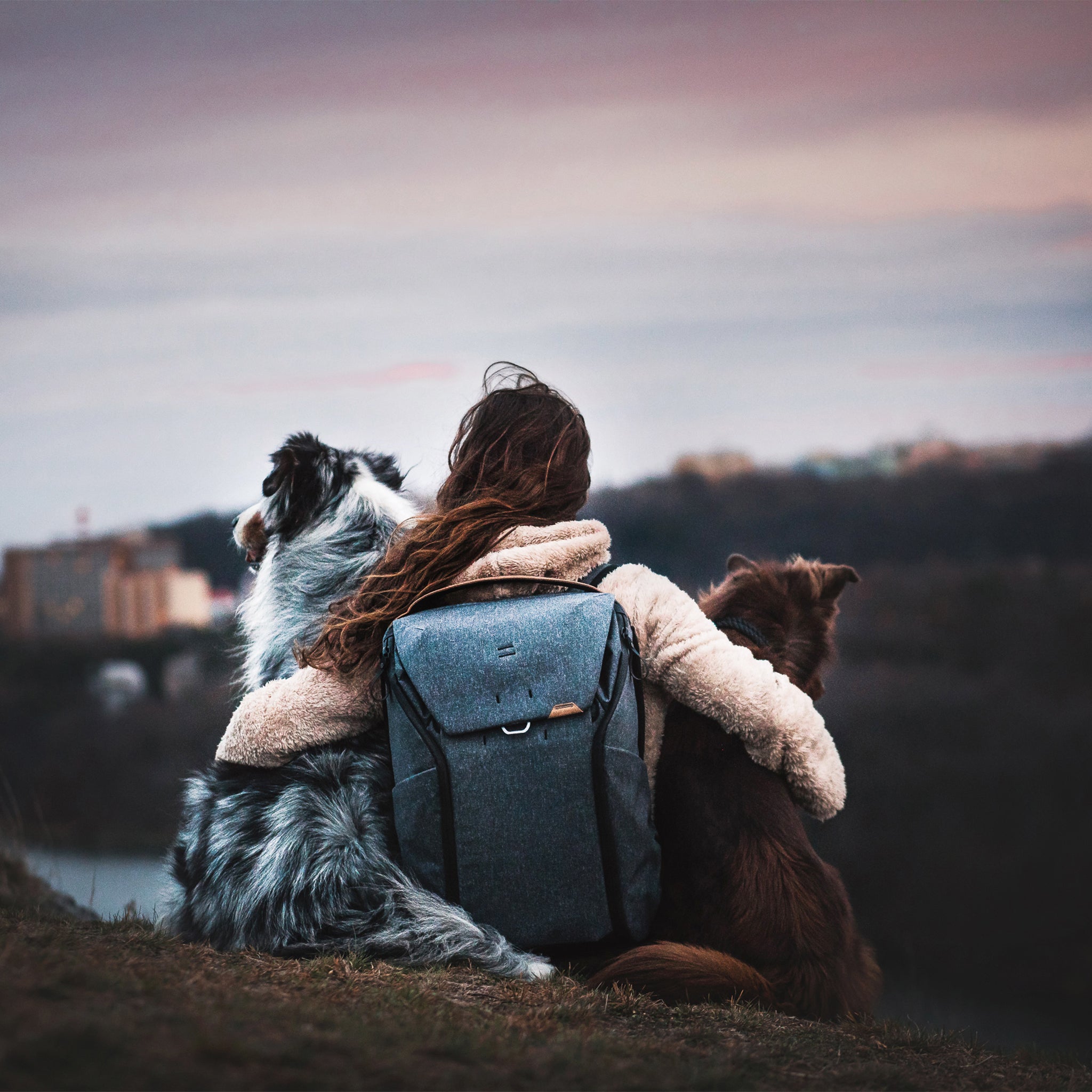Everyday Backpack 20L | Charcoal