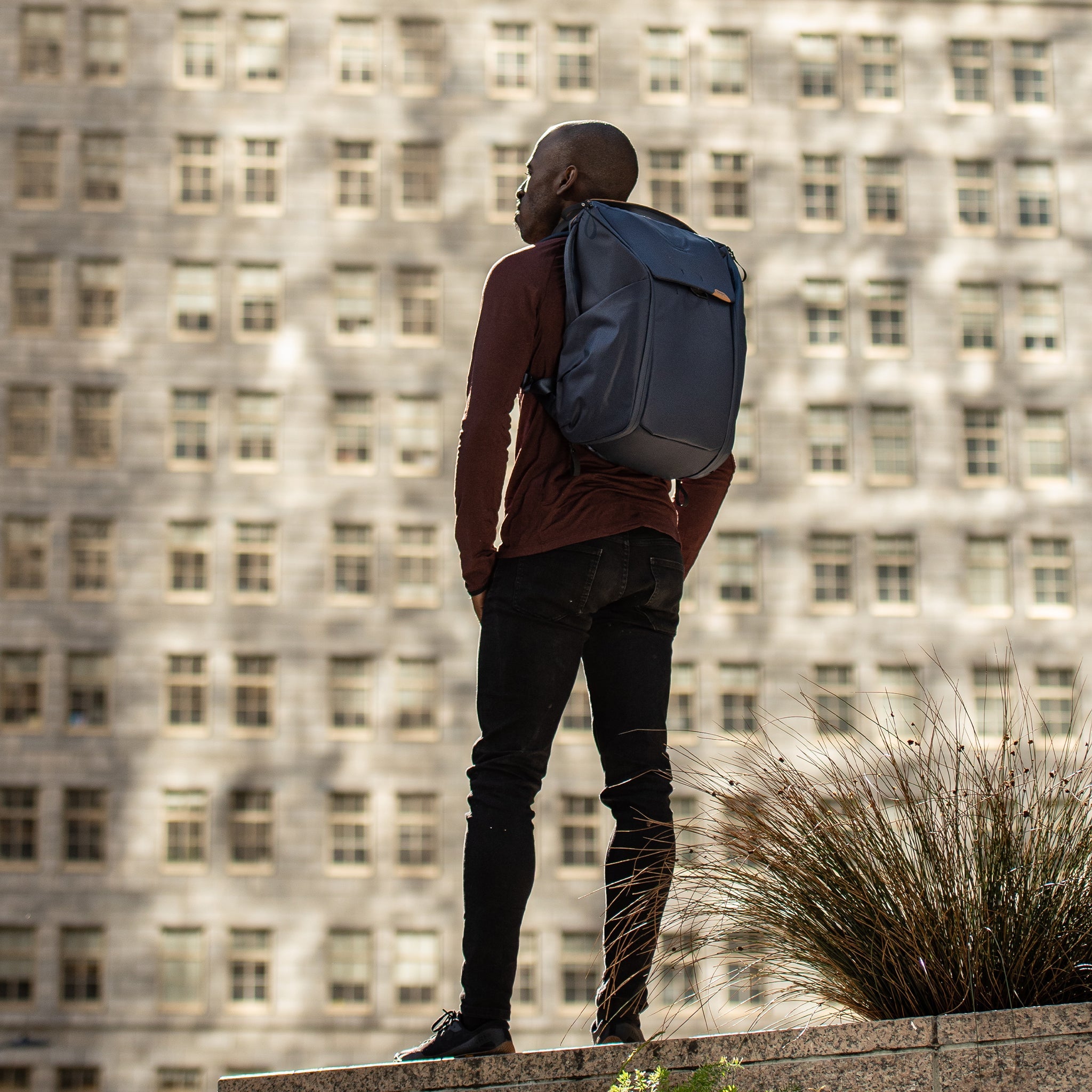 Everyday Backpack 30L | Midnight