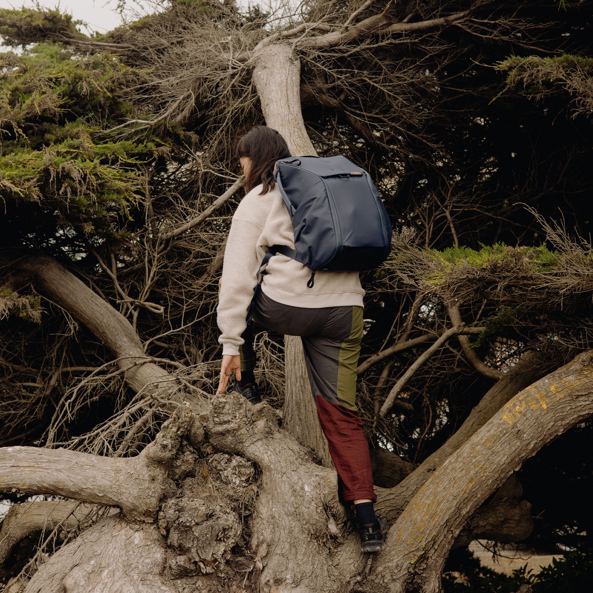 Everyday Backpack 30L | Midnight