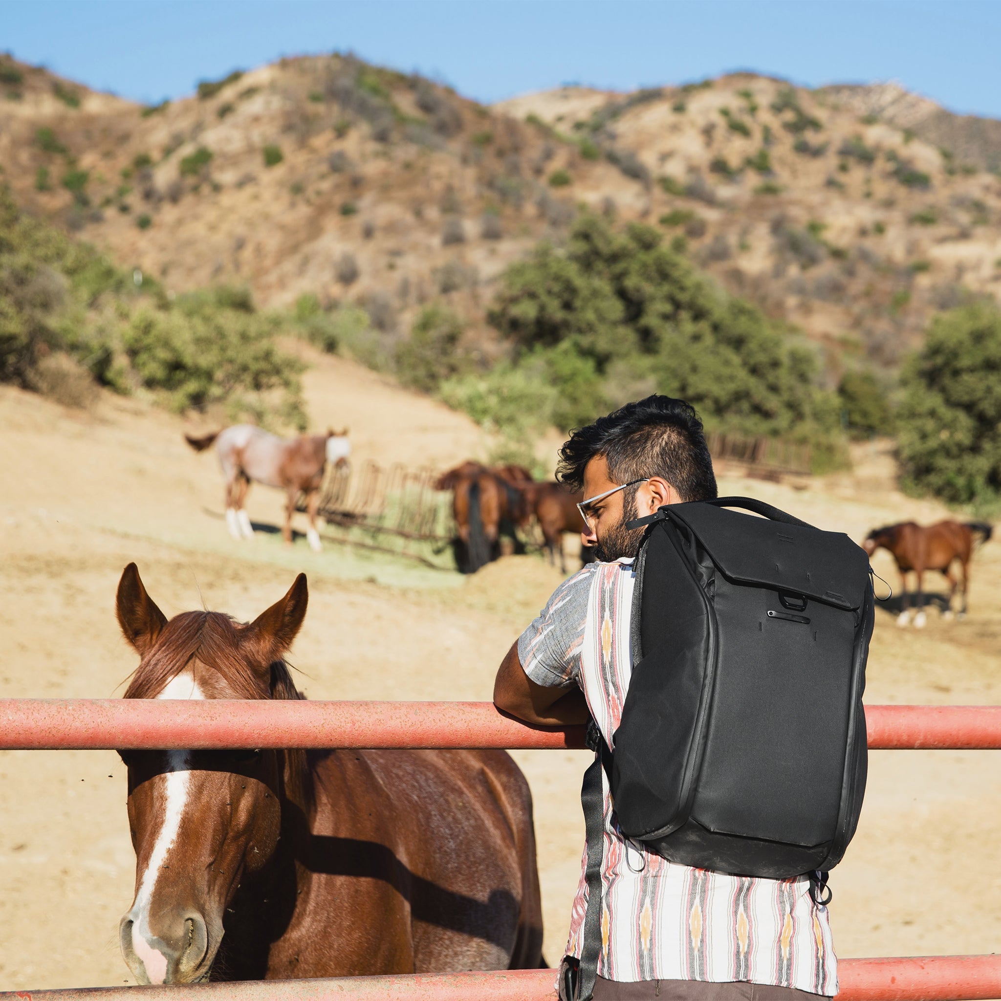 Everyday Backpack 30L | Black