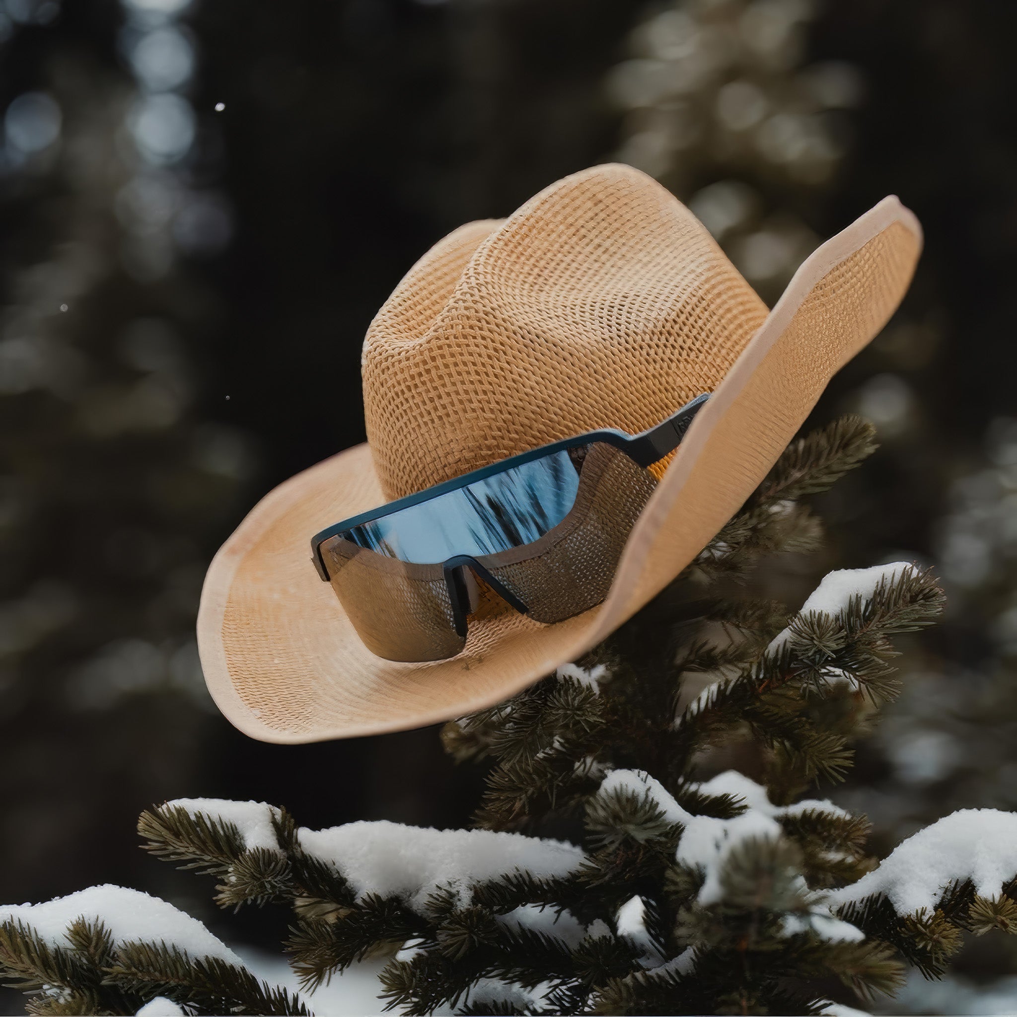 OMEGA Polarize Güneş Gözlüğü | Matte Black | Evergreen