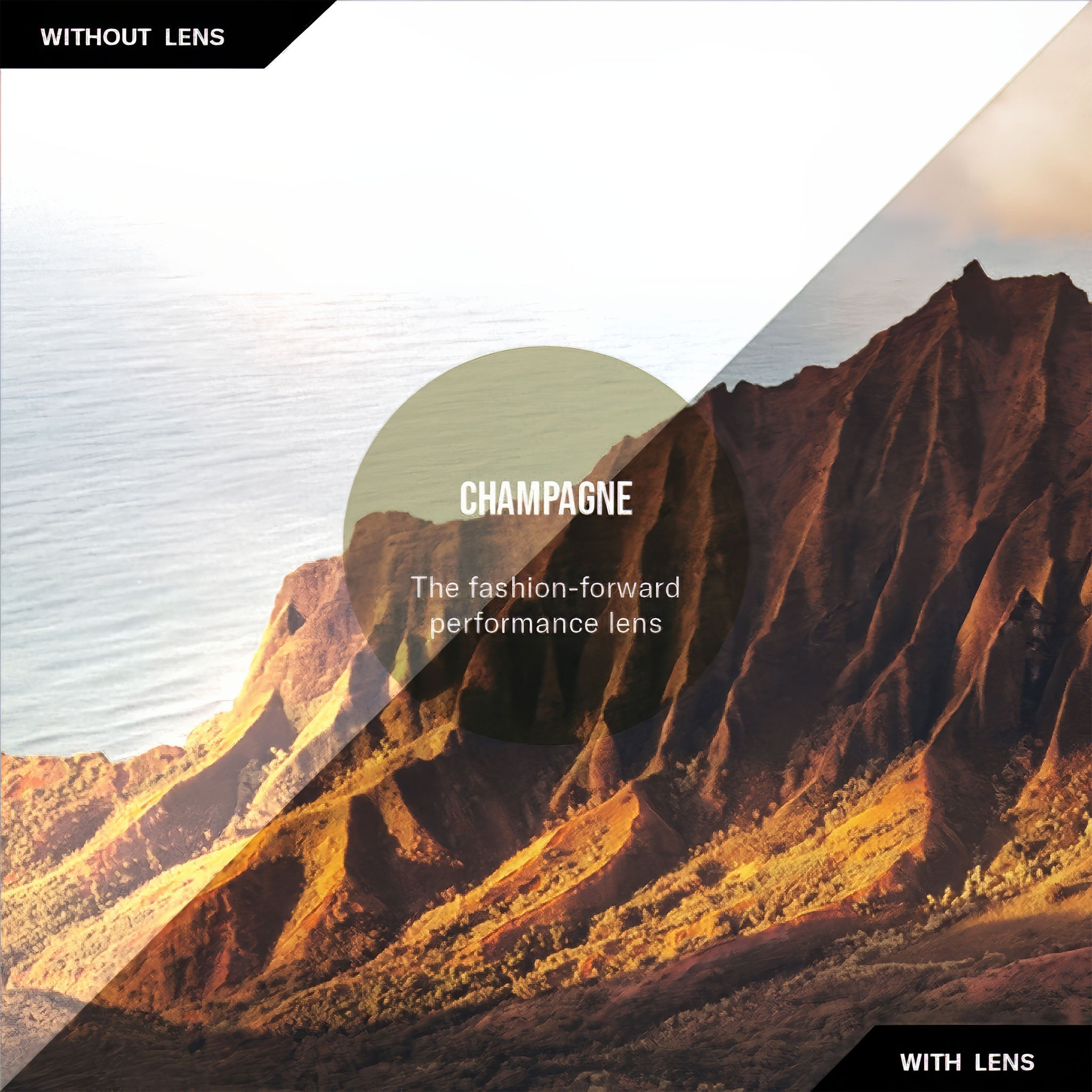 Air 4 Polarize Güneş Gözlüğü | Satin Gold | Champagne