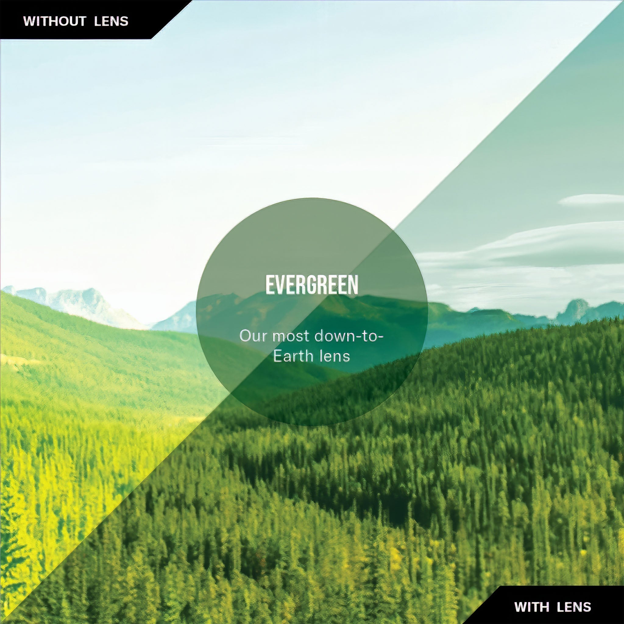 OMEGA Polarize Güneş Gözlüğü | Matte Black | Evergreen