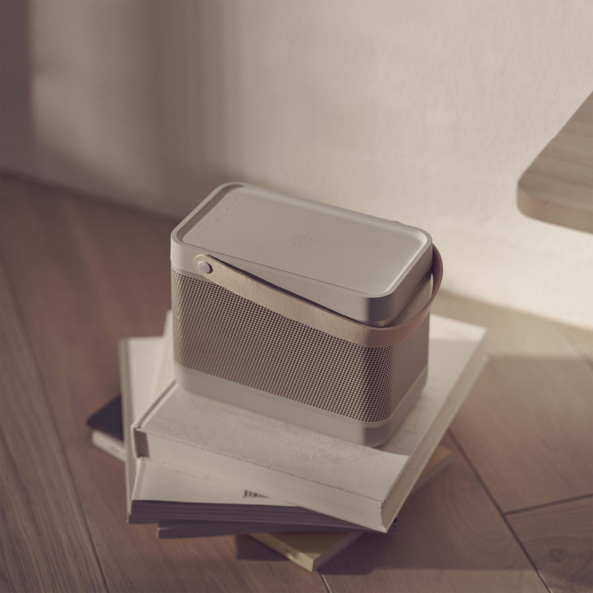 Beolit 20 Taşınabilir Bluetooth Hoparlör | Grey Mist