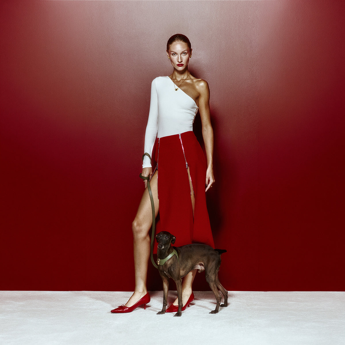 Coronet Charm Kişiselleştirilebilir Köpek İsimliği