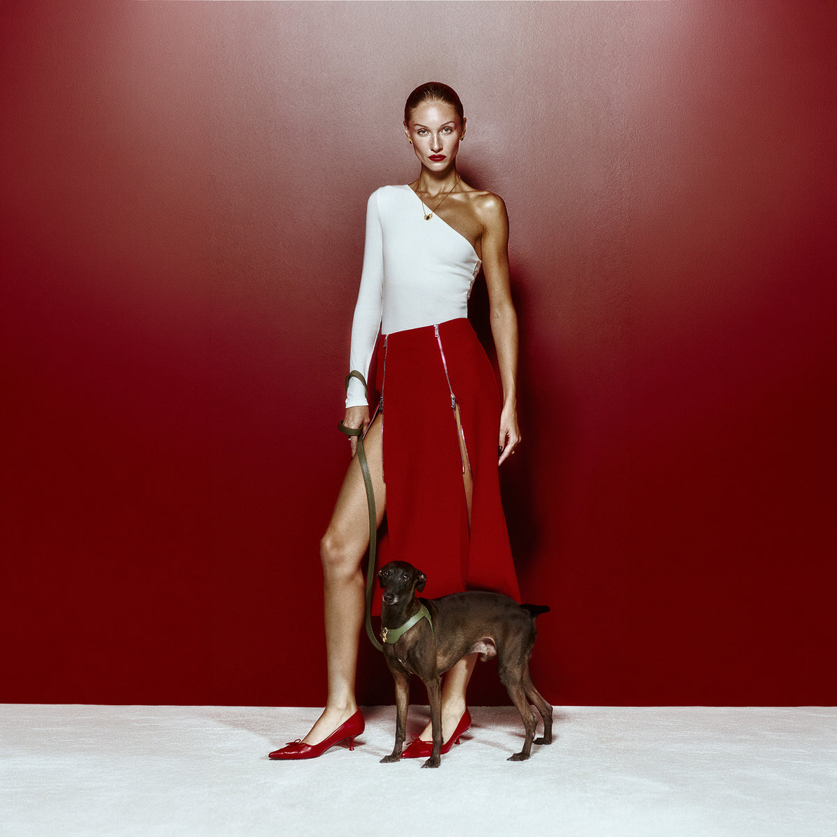 Imperial Viridis x Legacy Köpek Gezdirme Kayışı
