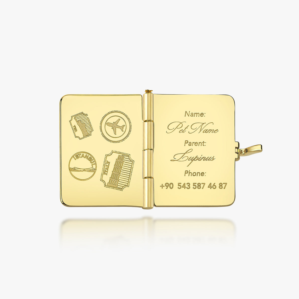 Passport Charm Kişiselleştirilebilir Köpek İsimliği