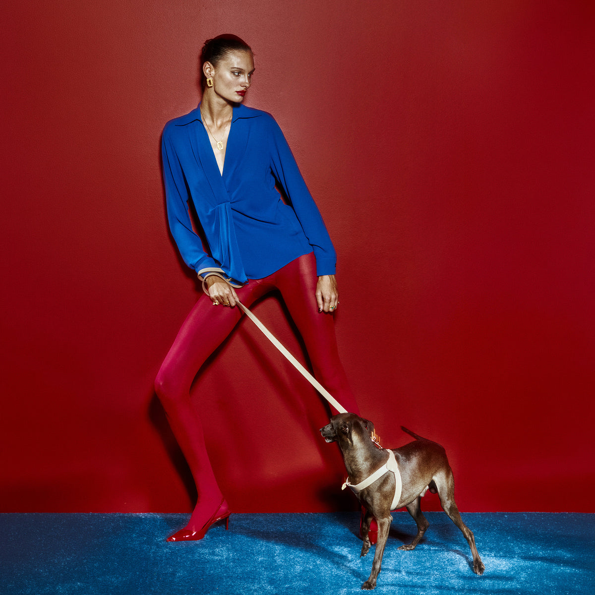 Royale Byssus x Legacy Köpek Göğüs Tasması