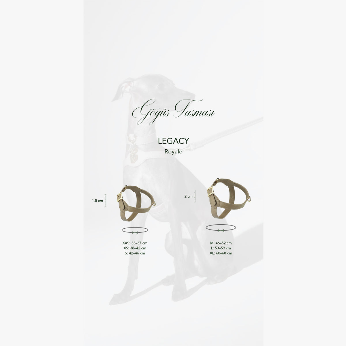 Royale Viridis x Legacy Köpek Göğüs Tasması