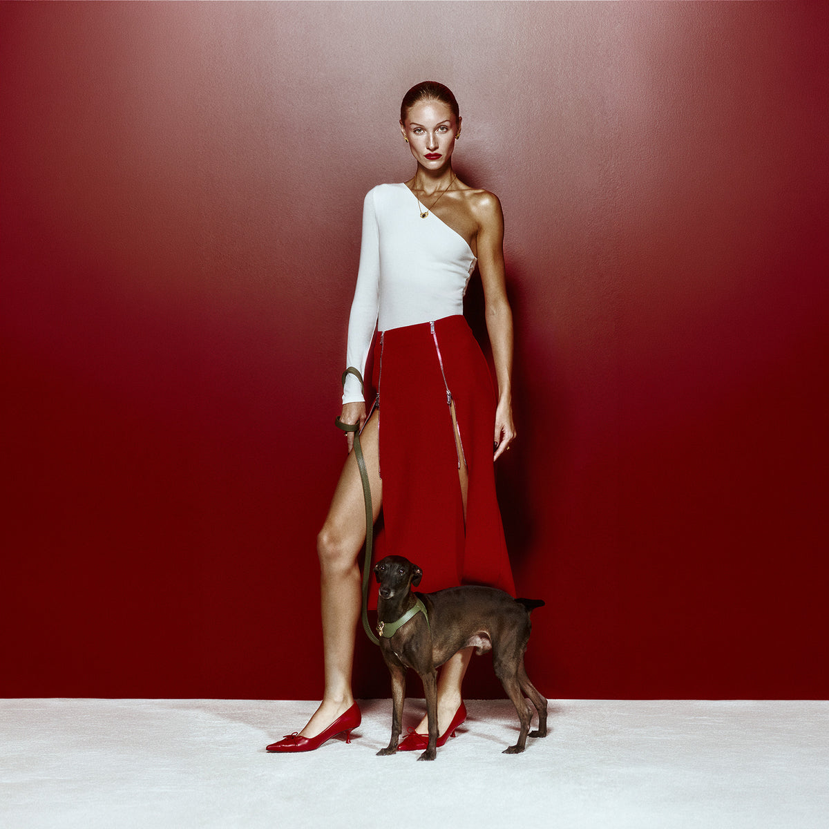 Royale Viridis x Legacy Köpek Göğüs Tasması