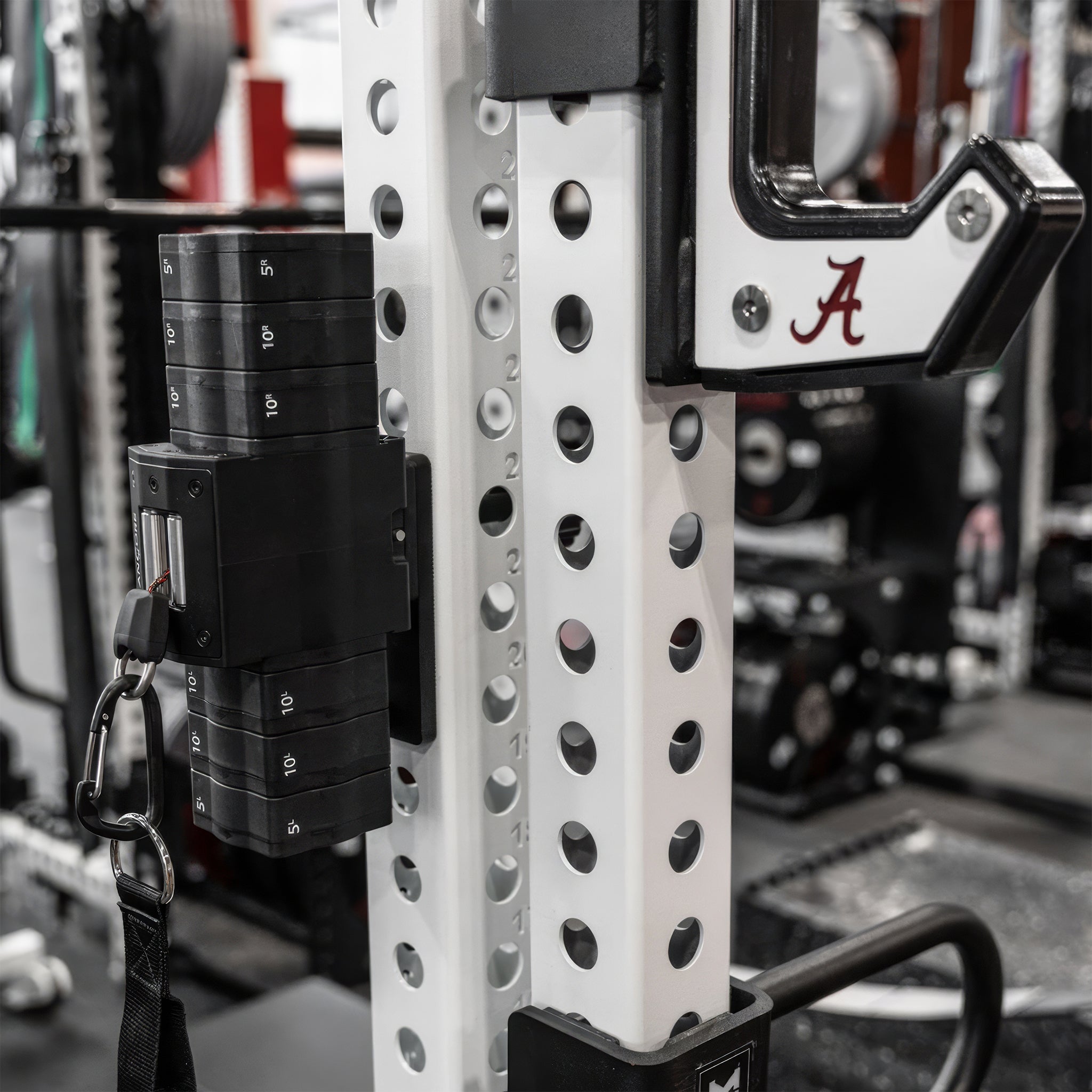 Ancore Pro | Kablo Egzersiz Sistemi