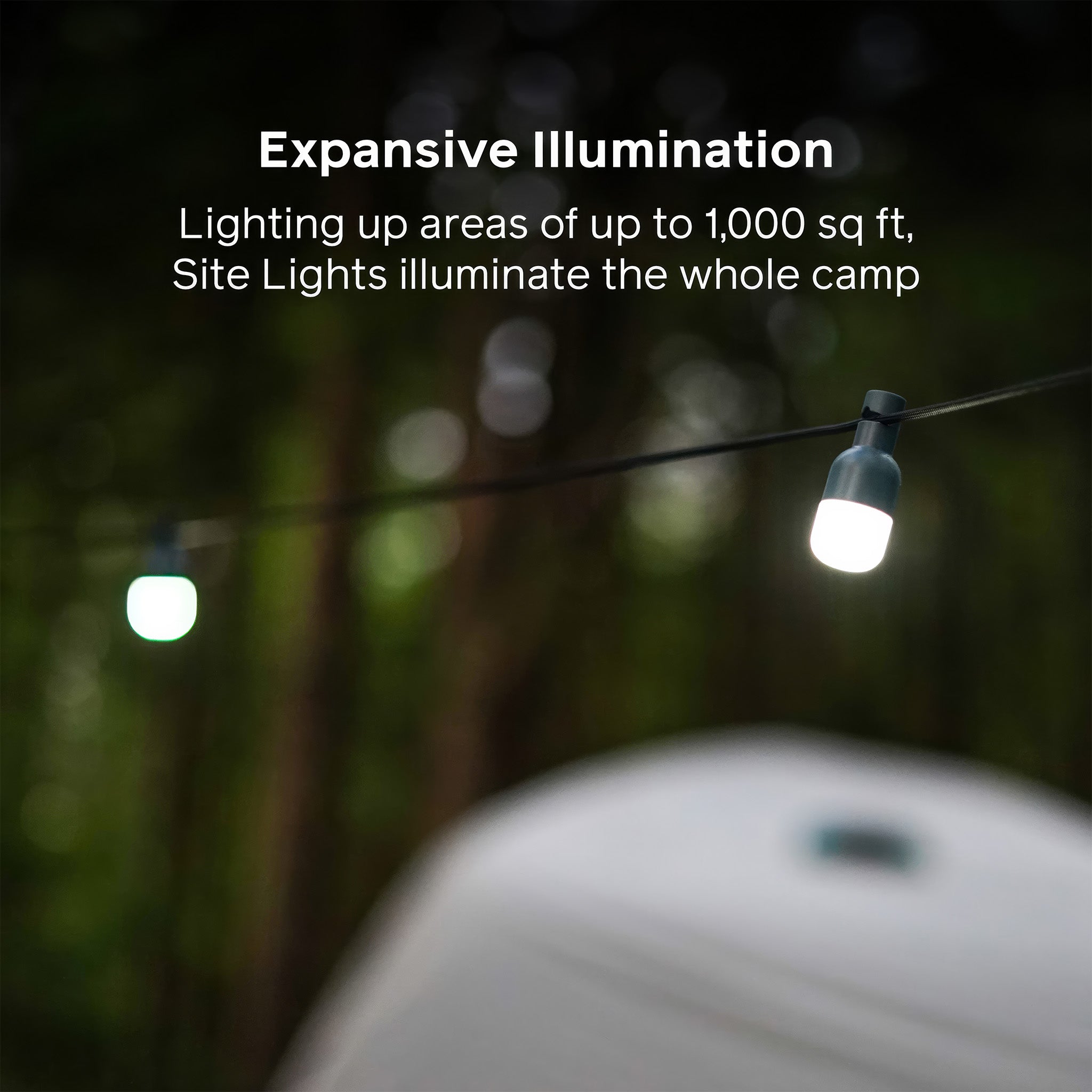 Solar Site Lights