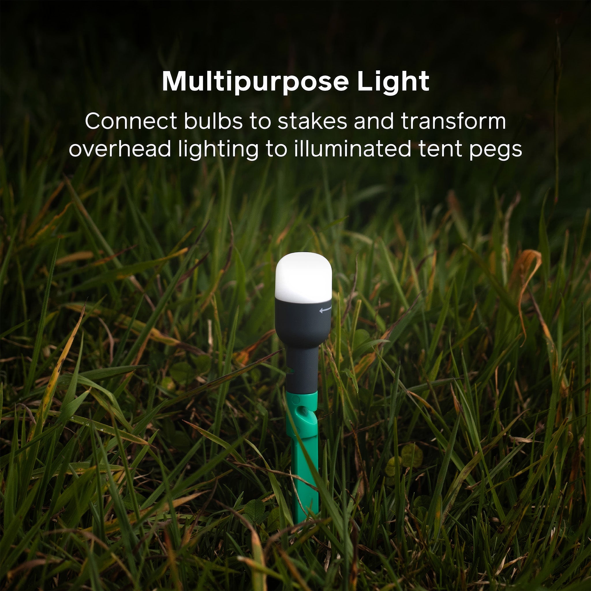 Solar Site Lights