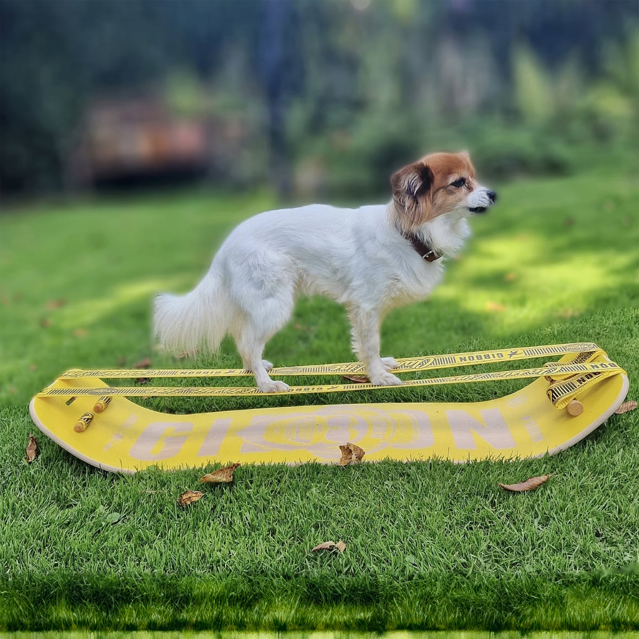 Giboard Set Bonzo Classic Denge Tahtası