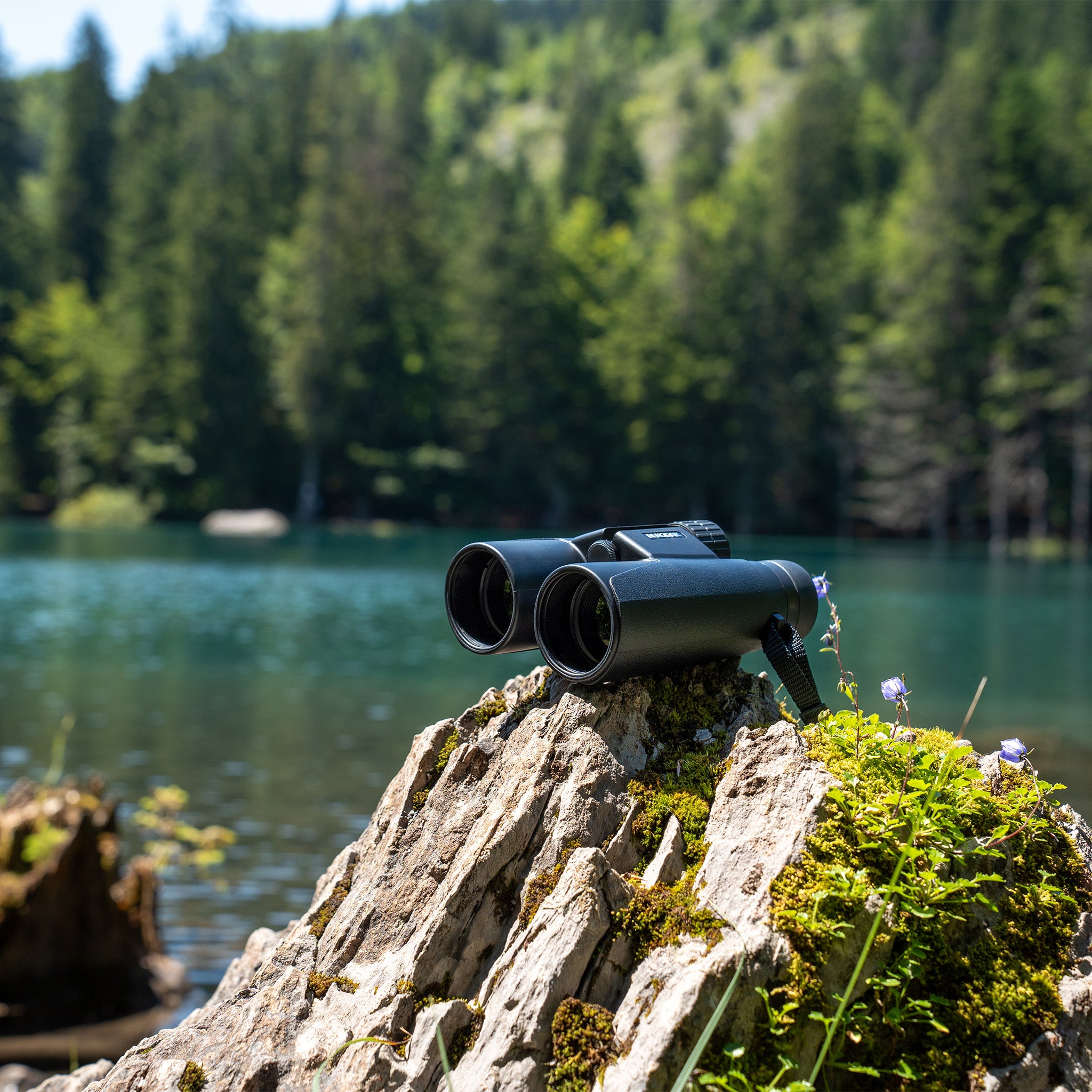 Binoküler BCS800 | 10x42mm Dürbün | Siyah