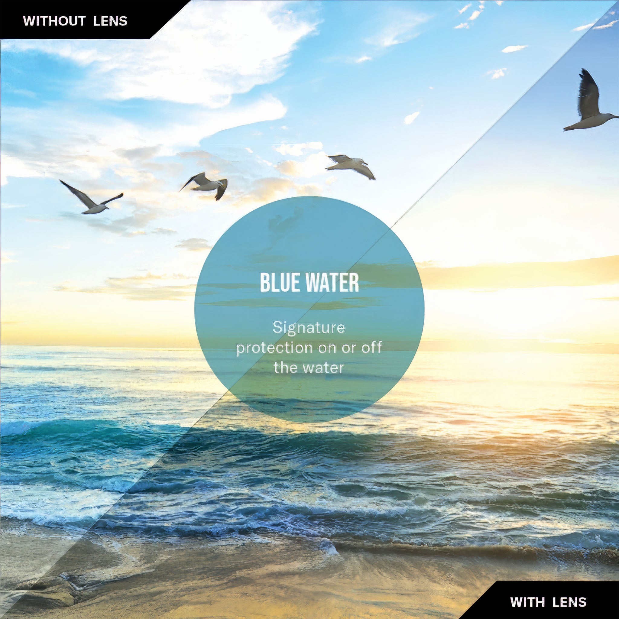 Traverse Polarize Güneş Gözlüğü | Black | Blue Water