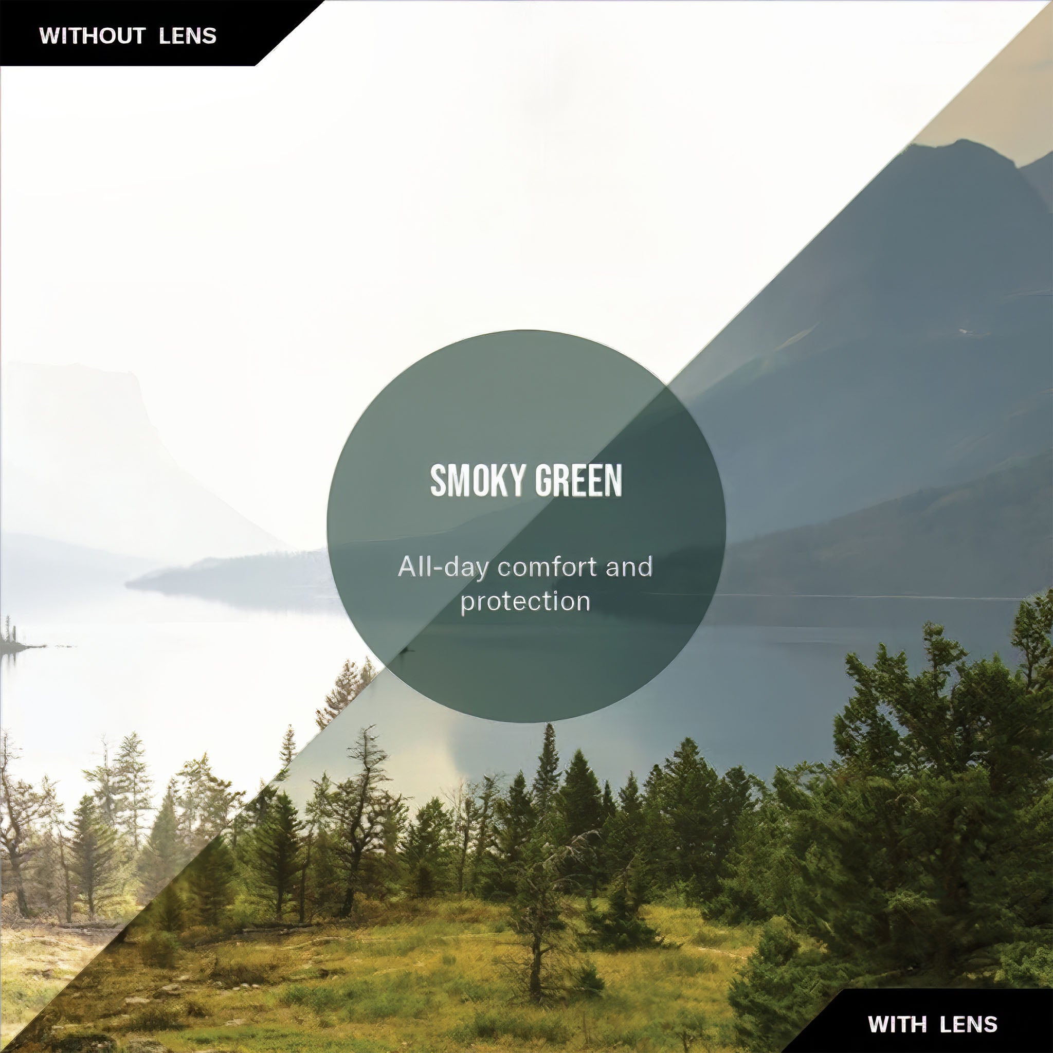 Tatum Polarize Güneş Gözlüğü | Shiny Tortoise | Smoky Green