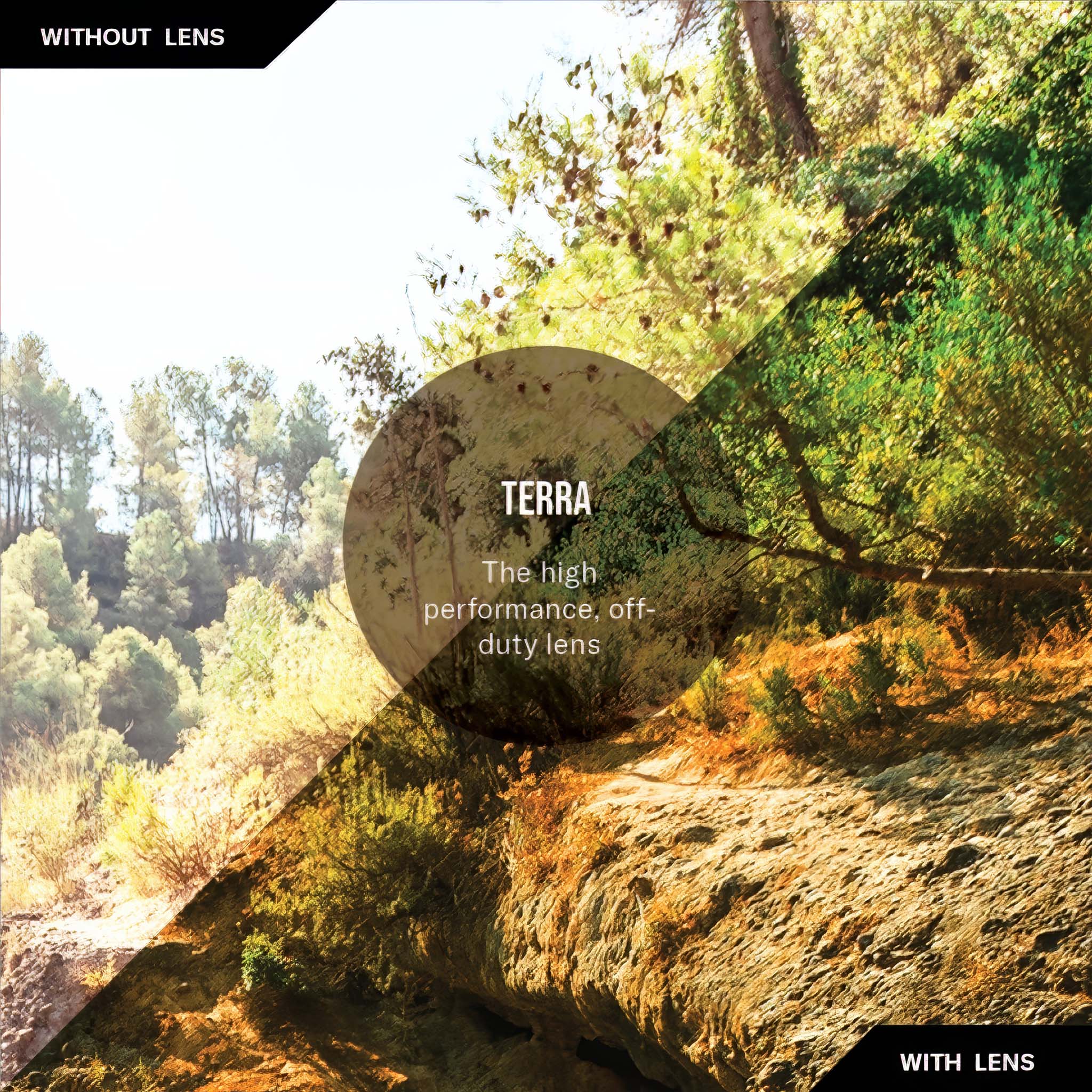 Sterling Polarize Güneş Gözlüğü | Shiny Crystal Caramel | Terra