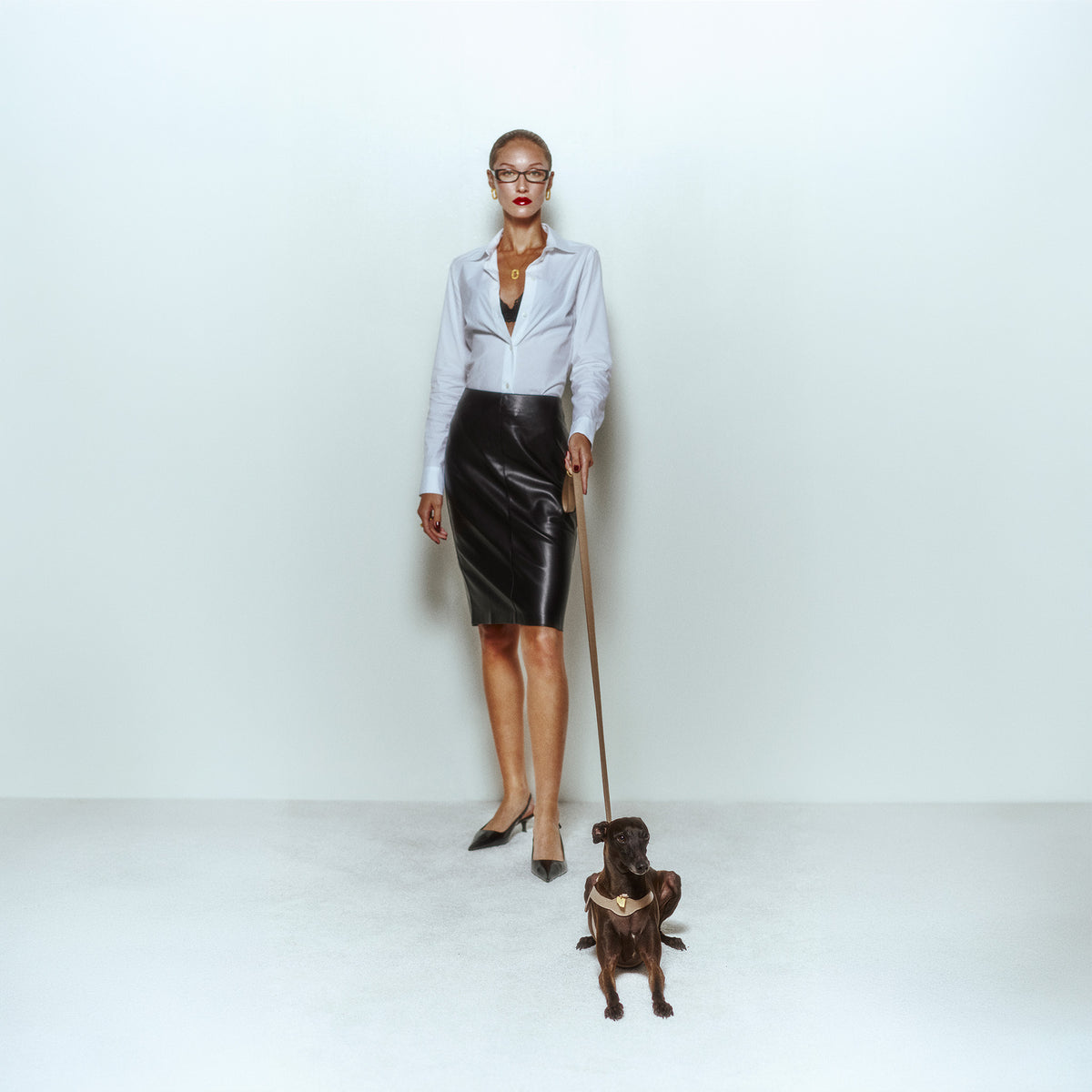 Grand Imperial Byssus x Legacy Köpek Gezdirme Kayışı