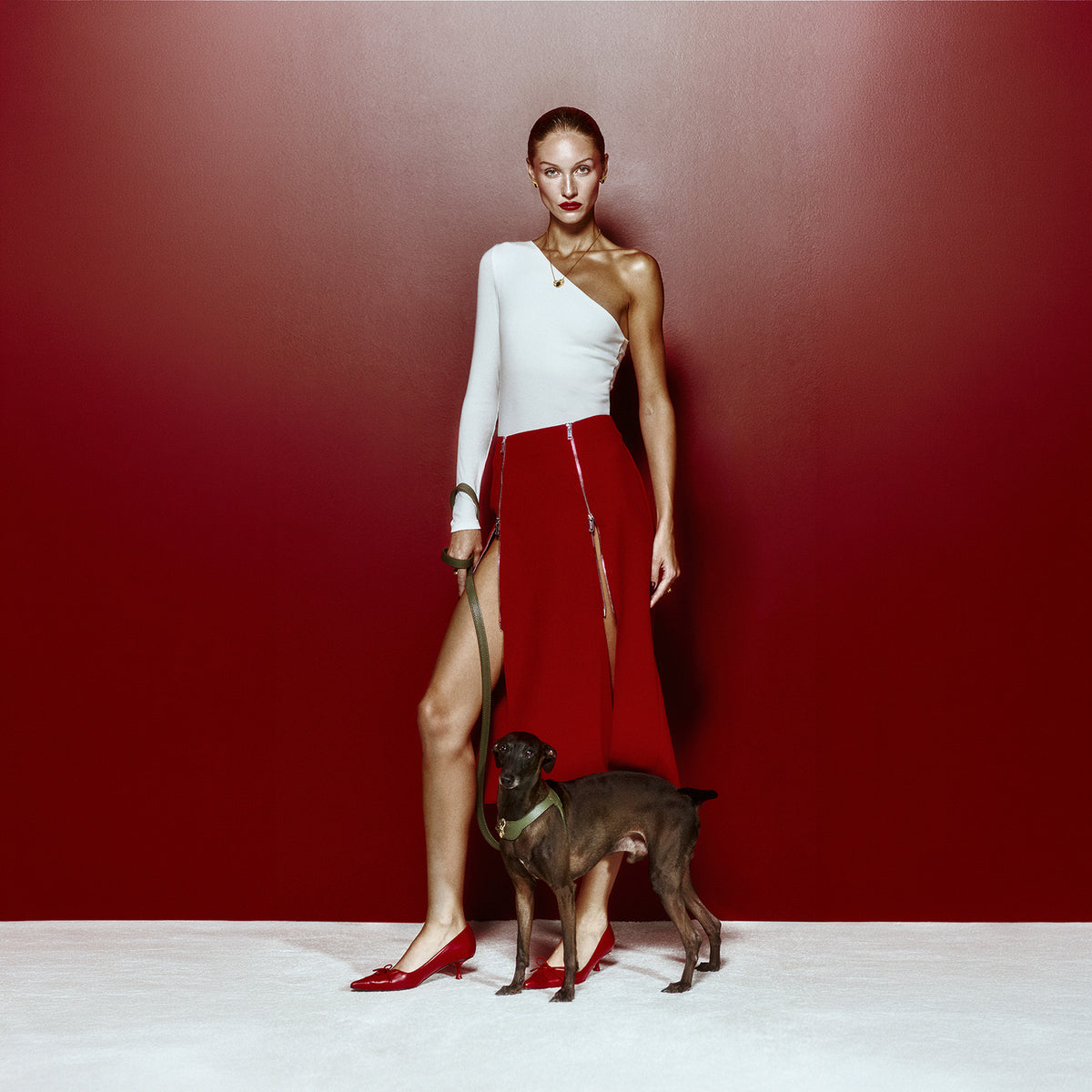 Grand Imperial Viridis x Legacy Köpek Gezdirme Kayışı