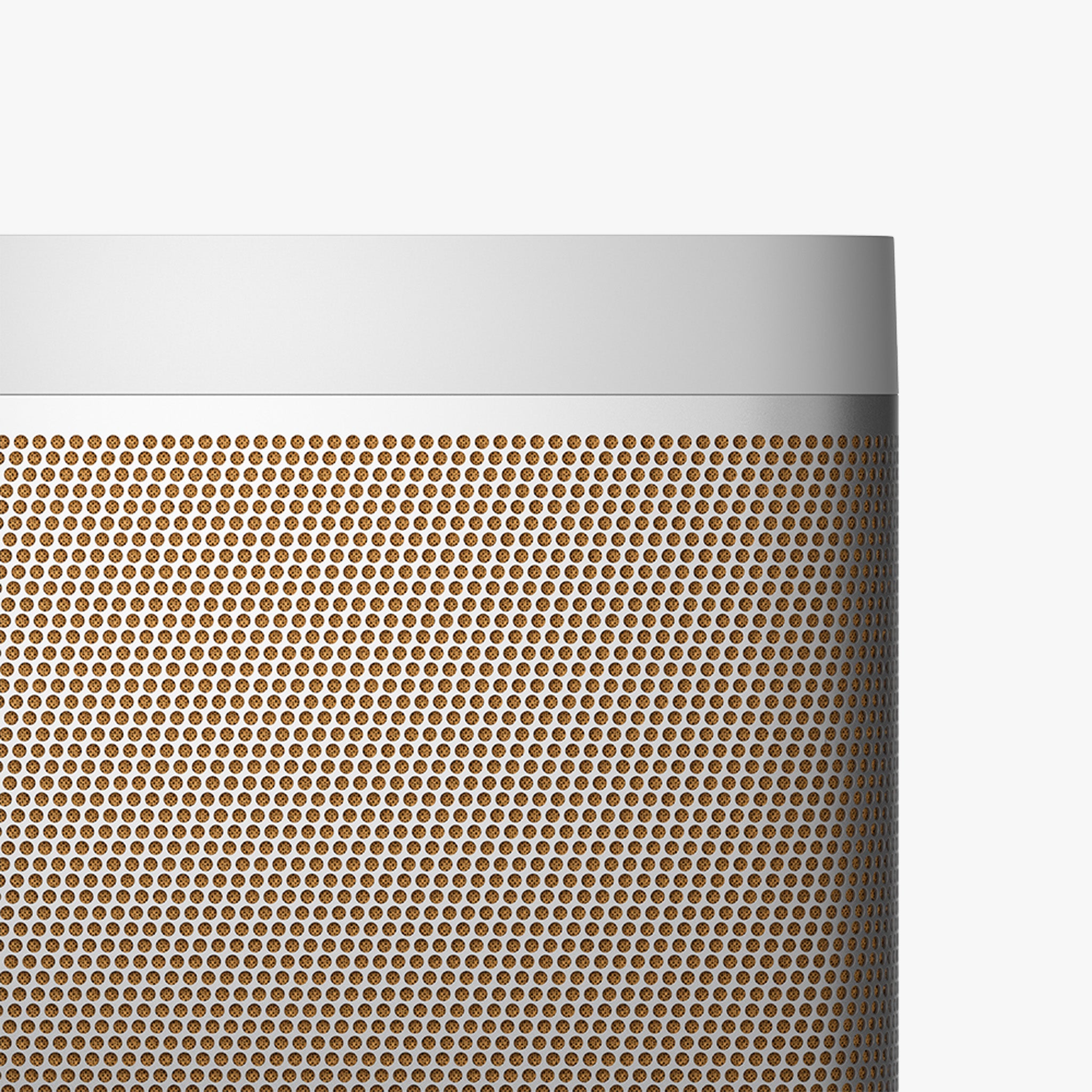 Beolit 20 Taşınabilir Bluetooth Hoparlör | Grey Mist