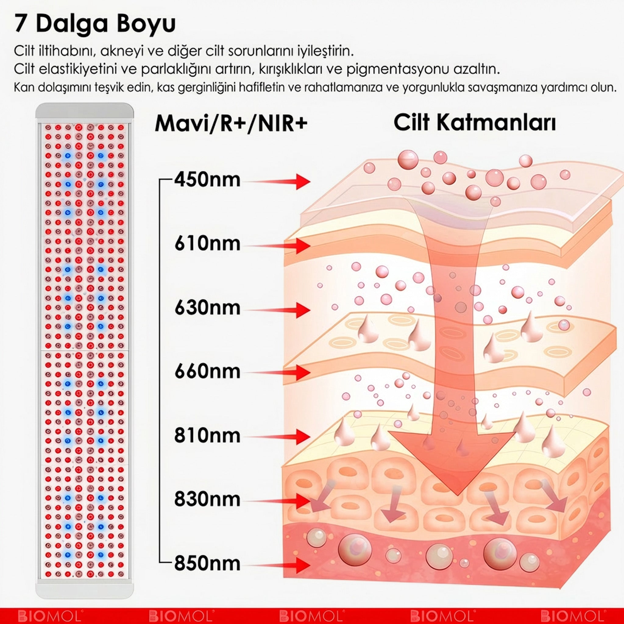 BM-Beauty | Kırmızı, Mavi ve NIR Işık Paneli