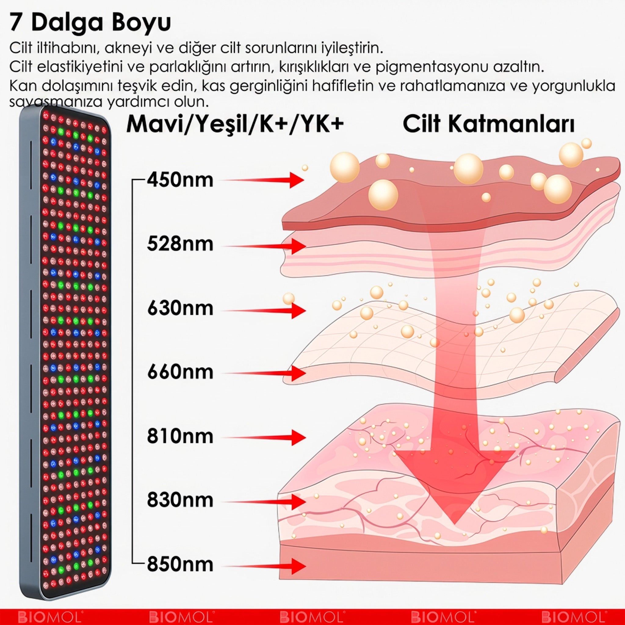 RP1440Z | Kırmızı Işık Paneli