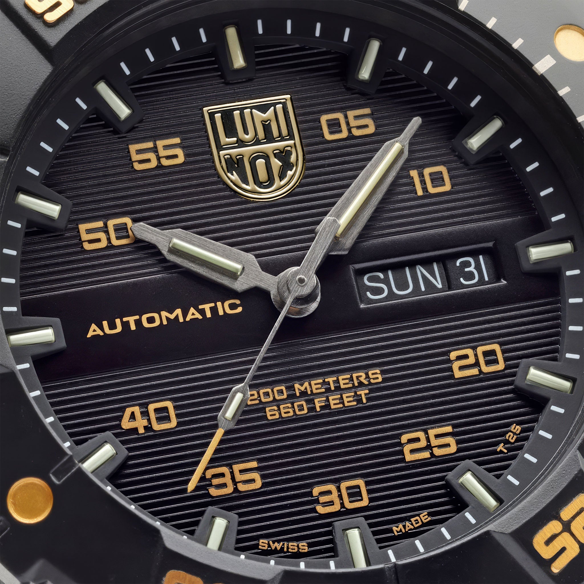 XS.3865 Master Carbon Seal Automatic Dive Watch | Gold | Limited Edition