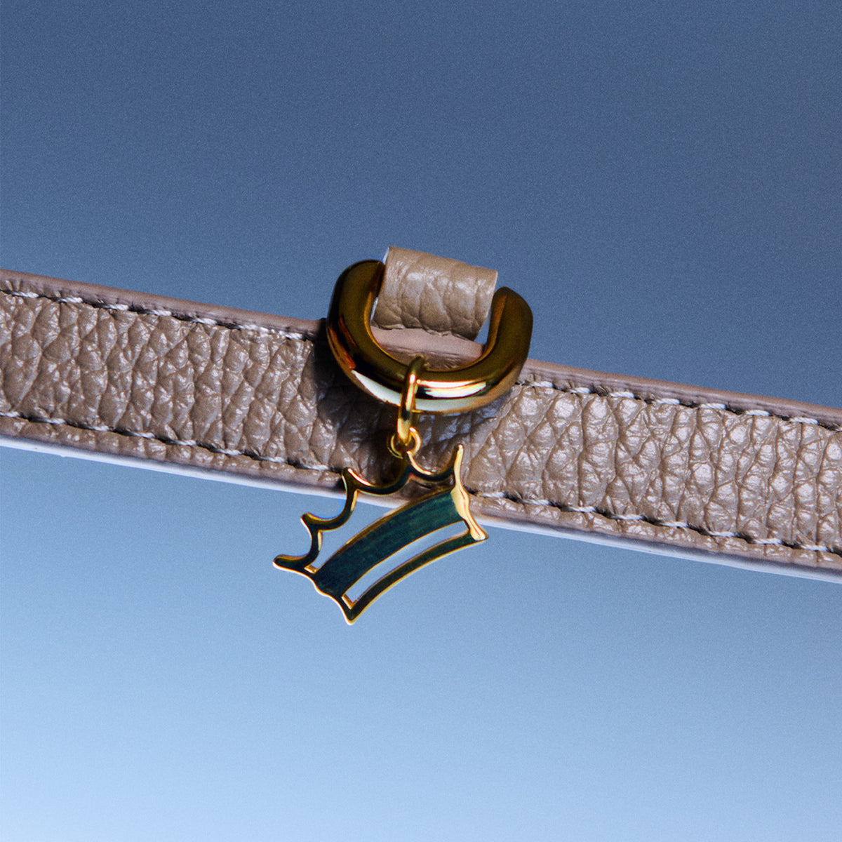 Coronet Charm Kişiselleştirilebilir Köpek İsimliği