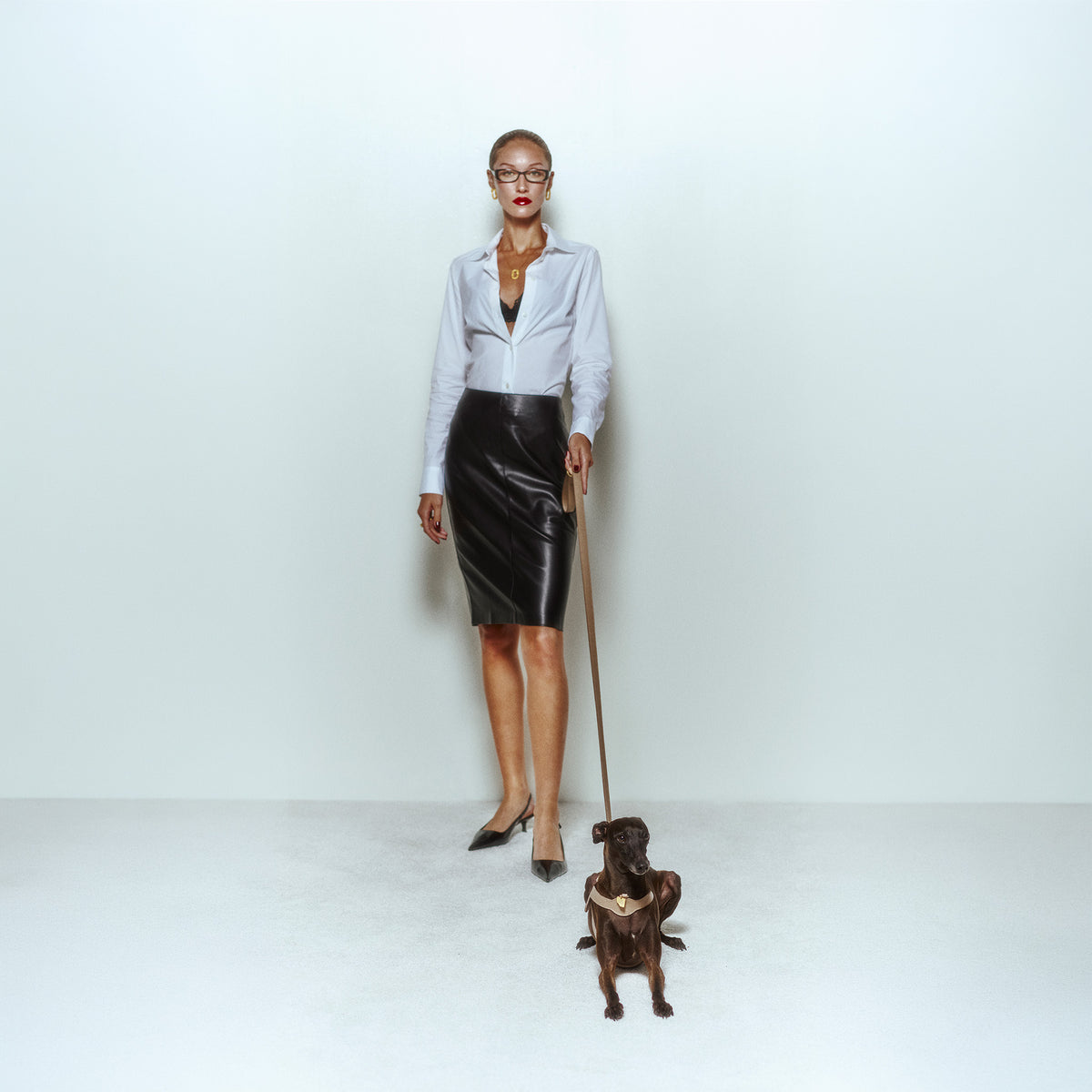 Imperial Byssus x Legacy Köpek Gezdirme Kayışı