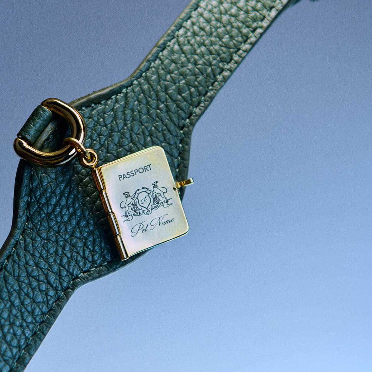 Passport Charm Kişiselleştirilebilir Köpek İsimliği