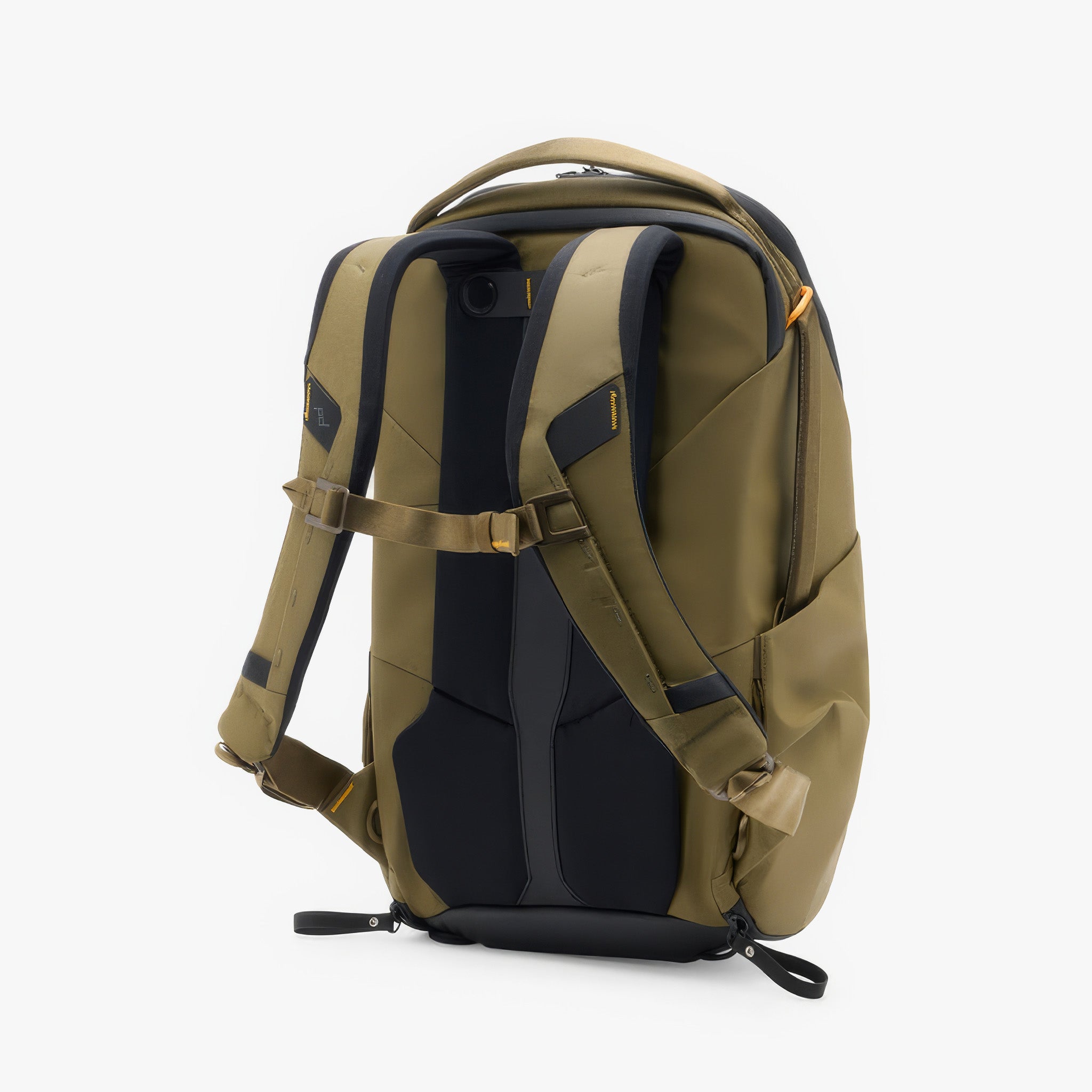 Everyday Backpack Zip 20L | Günlük Sırt Çantası | Kelp